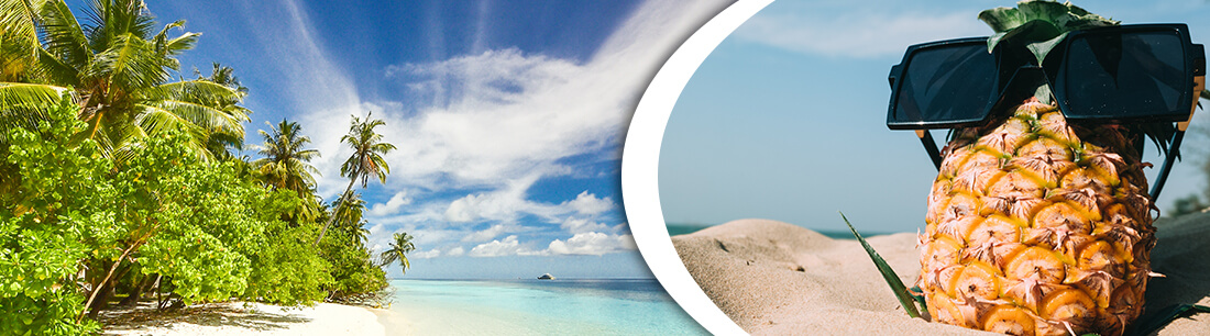 Goa Tour
