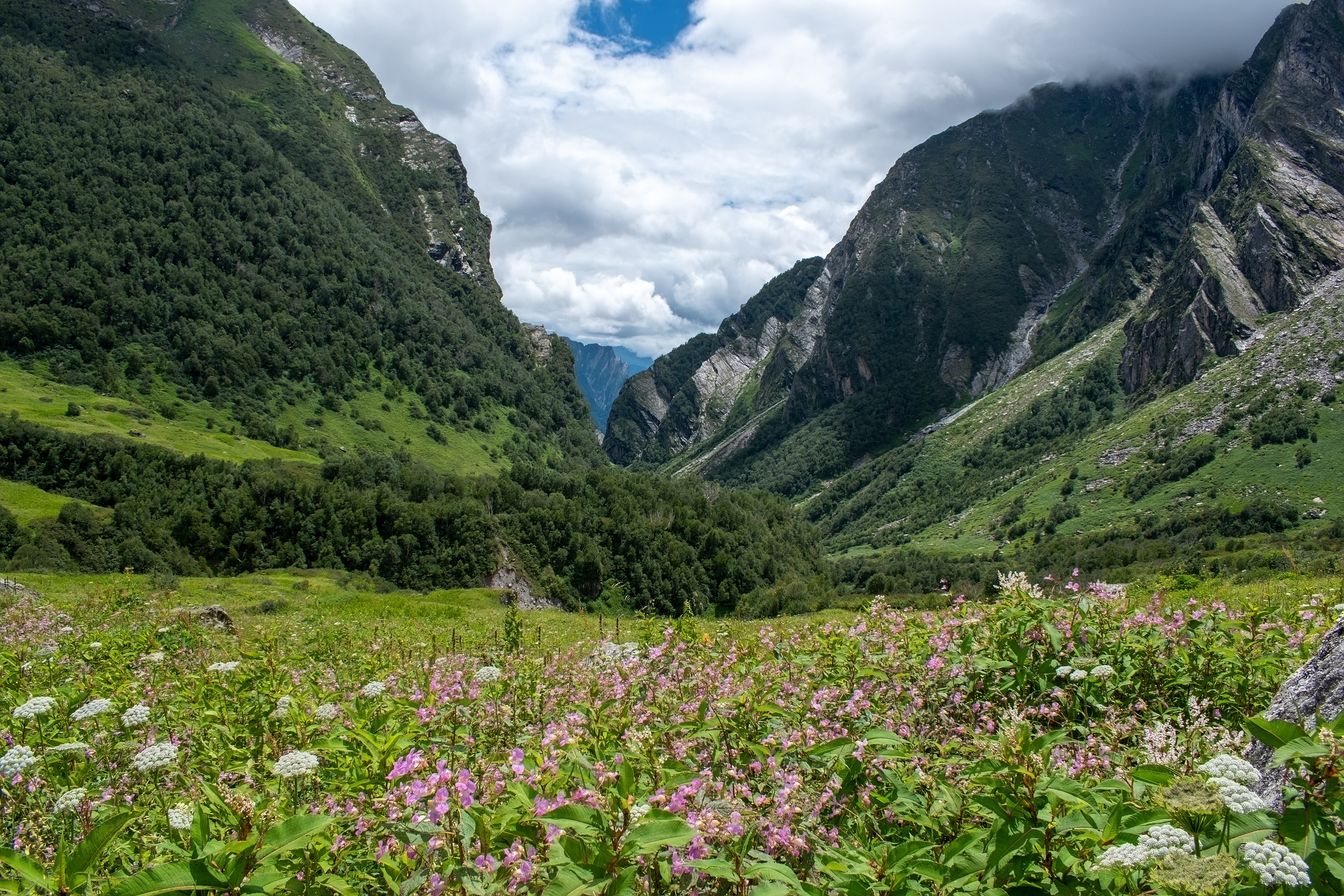 Valley of Flowers Trek Tour Package