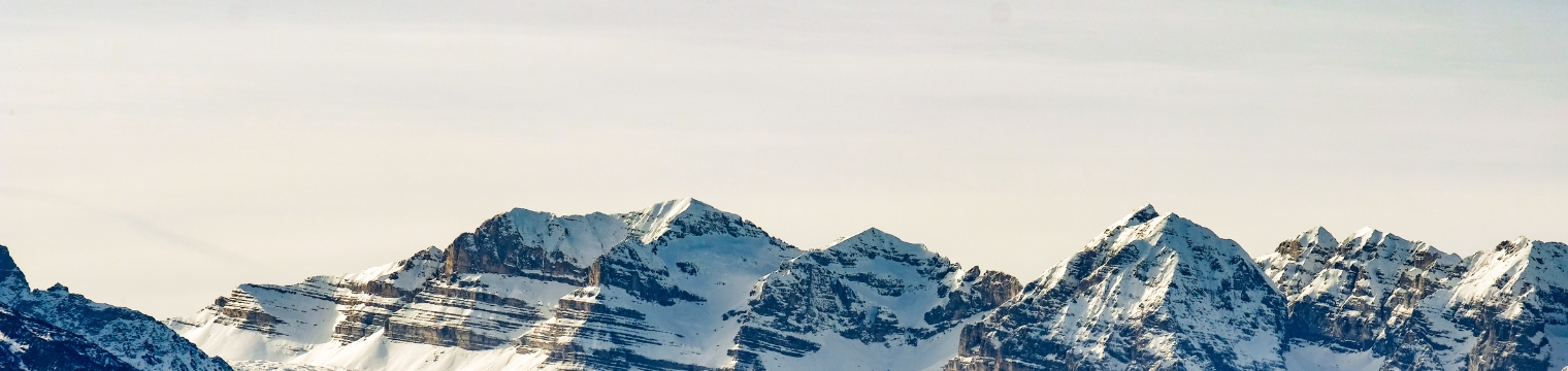 Page Banner Image